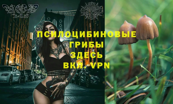 apvp Абдулино